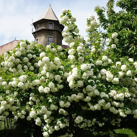 Chateau Du Vigny - Bed and breakfast 3*